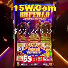 Experiência VIP 55Bet